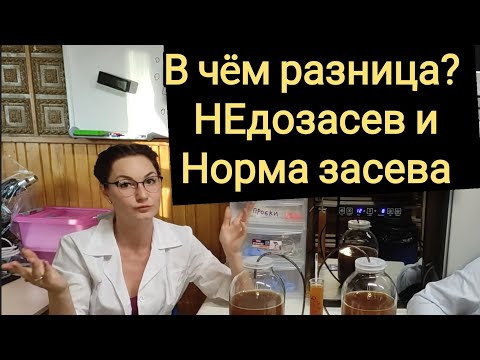 Видео: Недозасев дрожжей. Эксперимент с нормами.
