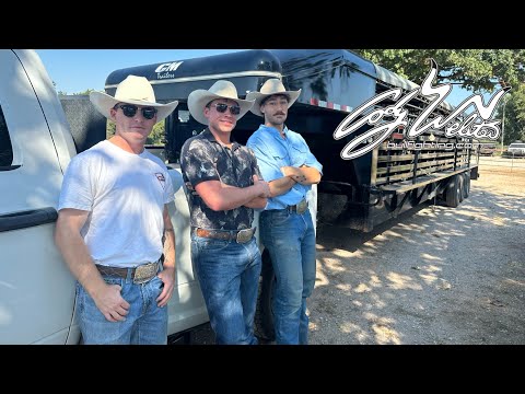 Видео: «Терапия N BULLS»