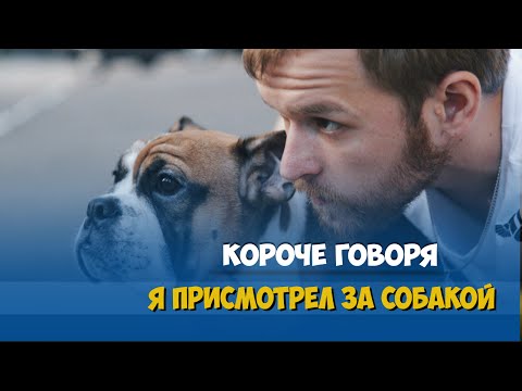 Видео: КОРОЧЕ ГОВОРЯ, 24 ЧАСА С ЧУЖОЙ СОБАКОЙ