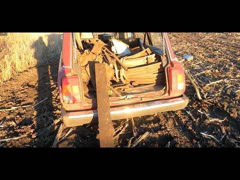 Видео: Что можно найти в поле?!Тут не только железо #металлокоп #поискметалла #чтонайтивполе #искалнашел