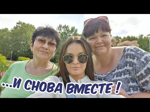 Видео: #248 СНОВА ВМЕСТЕ С СЕМЬЕЙ И ЗРИТЕЛЯМИ. МАННХАЙМ. ПЛЮСЫ- МИНУСЫ LUISENPARK. ТЕЛЕВЫШКА ИЛИ ФУНИКУЛЕР?