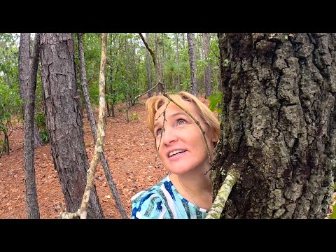 Видео: Проверила разметку участка, встретилась с геодезистами. Познакомилась еще с одними соседями