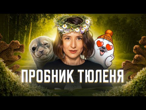Видео: Разбор пробника тюленя № 1 | ЕГЭ-2025 по биологии