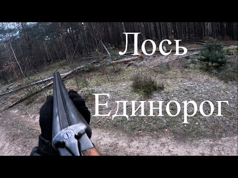 Видео: ТАКОГО лося единорога я не видел! Прицельные выстрелы. Охота на лося.