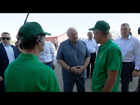 Видео: Лукашенко в поле: Ну ты меня господином не величай! // Минский район. Уборочная