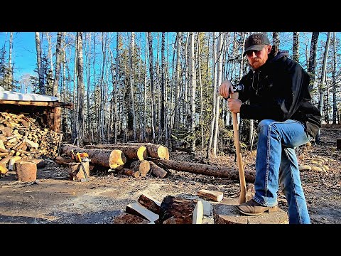 Видео: Мы зарезали нашу собственную корову… Затем приготовили говяжье сердце и стейк в дровяной печи!!