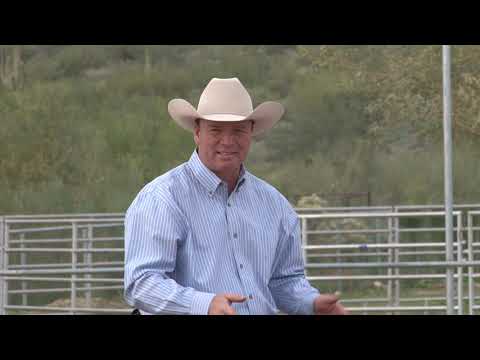 Видео: Езда с правильным положением тела