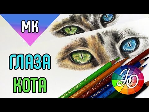 Видео: МАСТЕР-КЛАСС.  Как нарисовать глаза кота цветными карандашами