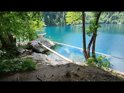 Видео: Абхазия 30 июня 2024 г. Озеро Рица, Малая Рица, Юпшара, Голубое озеро