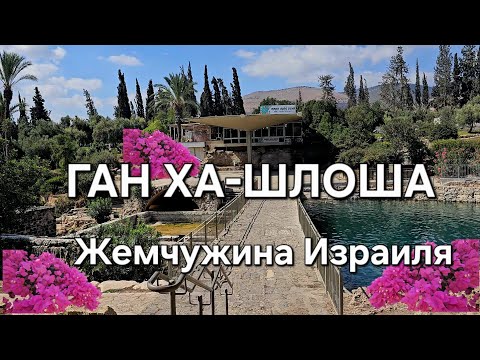 Видео: Ган ха-Шлоша- жемчужина Израиля#naturebeauty #travel #rest#озера  