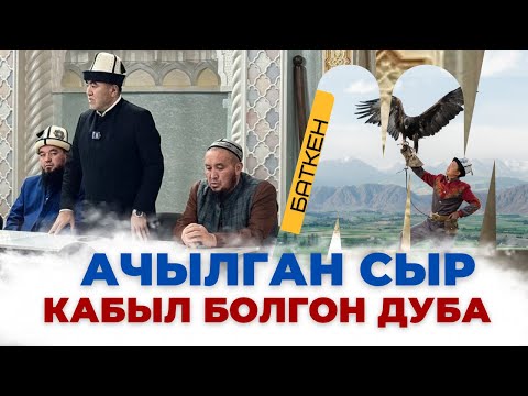 Видео: АЧЫЛГАН СЫР: КАБЫЛ БОЛГОН ДУБА