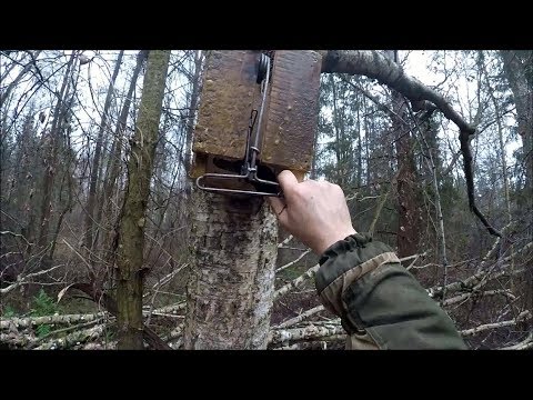 Видео: Кулемка-самолов.Первый опыт.Охота на куницу капканами. (Будни охотника и рыбака)