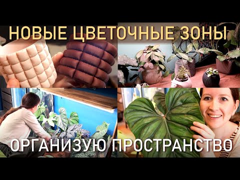 Видео: НОВЫЕ ЦВЕТОЧНЫЕ ЗОНЫ. Организую пространство у себя дома