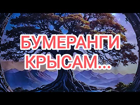 Видео: 🍀без камней🍀БУМЕРАНГИ ВАШИМ КРЫСАМ 
