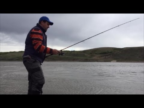 Видео: Канадский фермер. Неделя-16