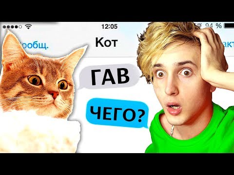 Видео: 🔊 СМЕШНЫЕ СООБЩЕНИЯ ОТ ЖИВОТНЫХ 🐱 ЕСЛИ БЫ ЖИВОТНЫЕ МОГЛИ ГОВОРИТЬ