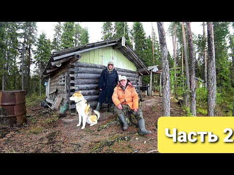 Видео: 🏕 С Батей на Кордон.Жизнь и быт в лесу.(Часть 2)Рыбалка.Копчение рыбы.