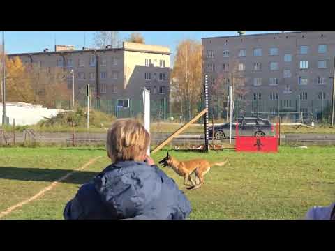 Видео: Большой Русский Ринг Пушкин 18.10.2025 группа А Участник №1