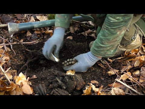 Видео: Чья то НЫЧКА!