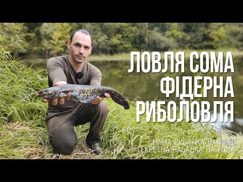 Видео: Риболовля з ночівлею біля річки! Соми на фідер