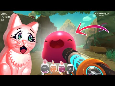 Видео: Кошка Юля зарабатывает деньги на откармливании жирных слаймов