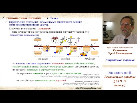 Видео: 5.1 Рациональное питание.  Ч.10-1. - Белки(1)