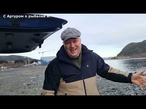 Видео: Клал Я на рыбалку. Взял петуха