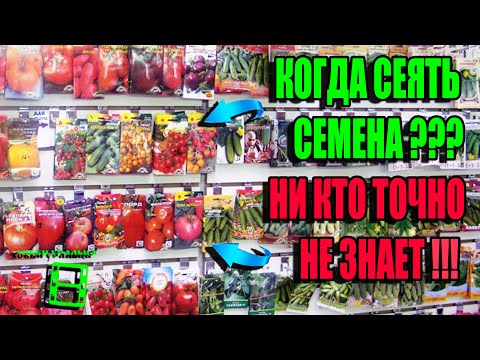 Видео: ЛУЧШЕЕ ВРЕМЯ ПОСАДКИ СЕМЯН. КОГДА СЕЯТЬ СЕМЕНА НА РАССАДУ? ЭКОСАД (ОГОРОД) И ТЕПЛИЦА 22-3