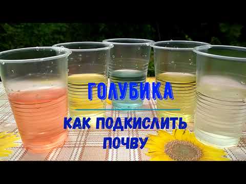 Видео: Голубика. Как подкислить почву для голубики. Подкисление голубики.