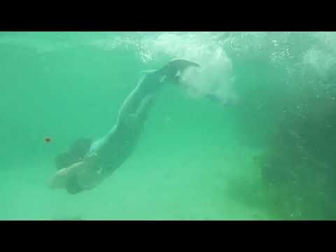 Видео: Русалка Севастополя 🫧🫧🫧🫧