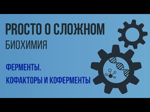 Видео: PROСТО О СЛОЖНОМ Кофакторы и коферменты, биохимия №8