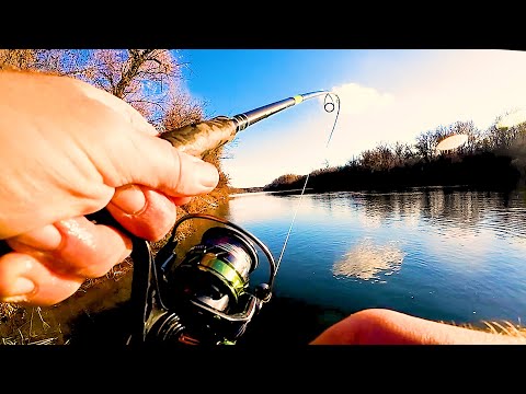 Видео: Щучий рай там, где его не ждут. Бешенный клев щуки на глубине метр! Рыбалка 2025!