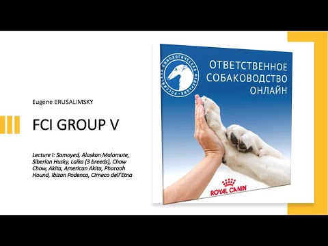Видео: Особенности судейства десяти групп пород FCI: Группа V (1 ч.) | «Ответственное собаководство онлайн»