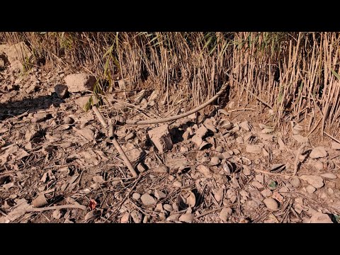 Видео: Пенчо Милков: Ще запушим незаконните тръби, които се изливат в язовира в Николово