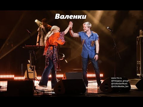 Видео: "ВАЛЕНКИ" -группа "ПЕЛАГЕЯ" и Александр Волкодав, КРОКУС, 12/03/22 #группапелагея #александрволкодав