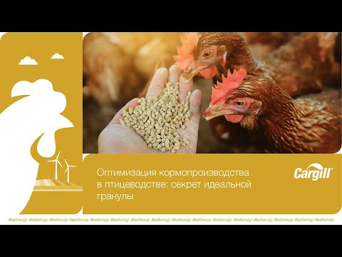 Видео: Оптимизация кормопроизводства в птицеводстве: секрет идеальной гранулы