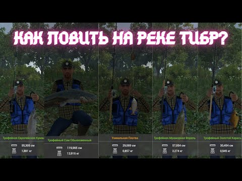 Видео: Fishing Planet | Гайд - Как ловить уникальную плотву, сома, усача, окуня, карася, кумжу на р.Тибр.