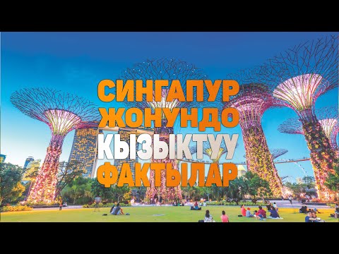 Видео: СИНГАПУР жонундо таң калычтуу кызыктуу фактылар | Эн бай олколордун бири