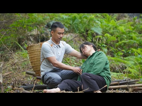 Видео: Добрый генеральный директор спас женщину в опасном диком лесу