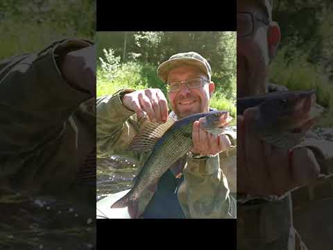 Видео: Все реки текут вверх