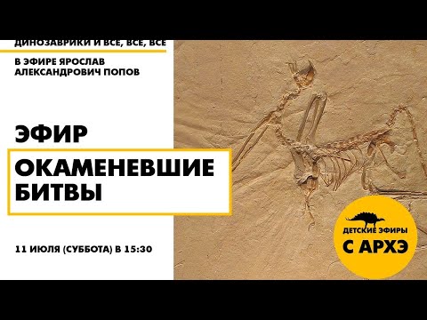 Видео: Детский эфир "Окаменевшие битвы" в рамках рубрики "Динозаврики и все, все, все"