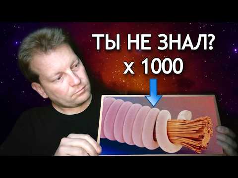 Видео: 📷 Как выглядит внутри то, что вы видите каждый день? Тайны обычных вещей под микроскопом