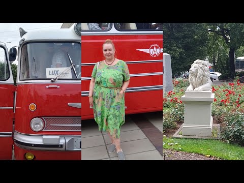 Видео: Ретро-автобусы💛концерт в парке