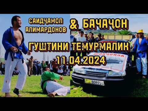 Видео: Шоҳҷоиза: Гӯштини Темурмалик: Саидҷамол Алимардонов & Бачаҷон!