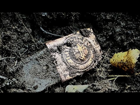 Видео: Золотые монеты и другие находки на позициях SS #ww2 #kurland