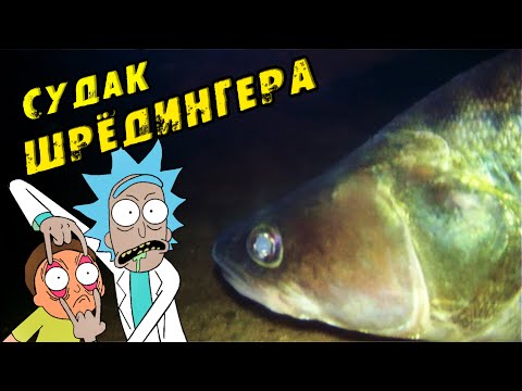 Видео: Забурились в КОРЯЖНИК и Офигели!!! Огромные СУДАКИ не хотят жрать! Зимняя рыбалка на СУДАКА 2024