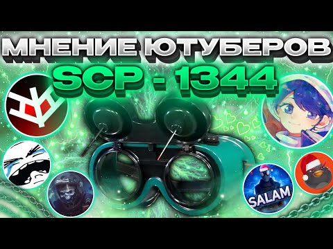 Видео: ЧТО ДУМАЮТ СЦП СЛ ЮТУБЕРЫ ПРО SCP-1344 В 14.0 | SCP SL