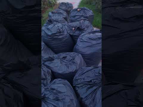Видео: 5 октября 2025 г.
