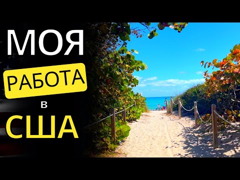 Видео: Работа и приключения во Флориде #102