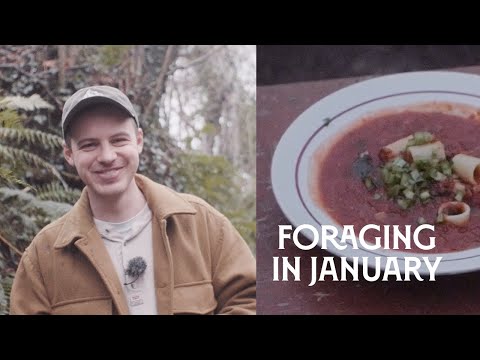 Видео: Что собирать в январе? | Неделя 1 — Рецепт супа из крапивы 🥣 🌱